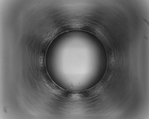 X0000101120268200806261443
