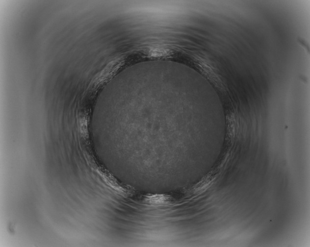 X0000101120269200806261443