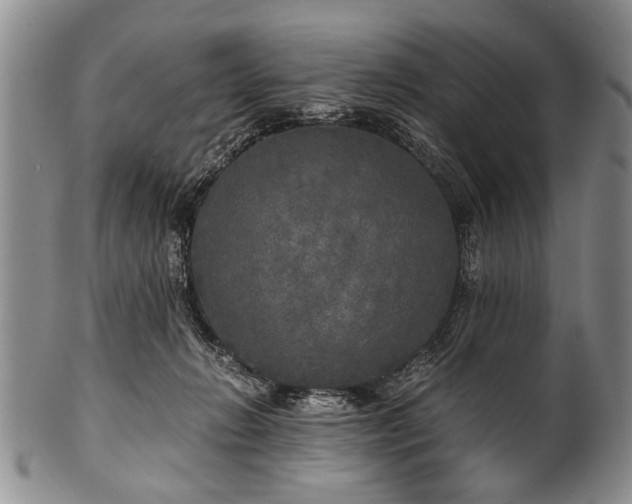 X0000101120270200806261443