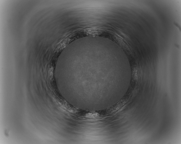 X0000101120271200806261443