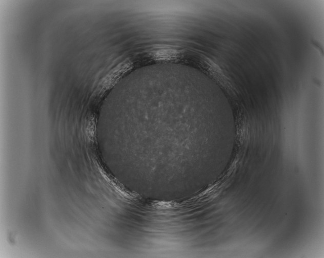 X0000101120277200806261443