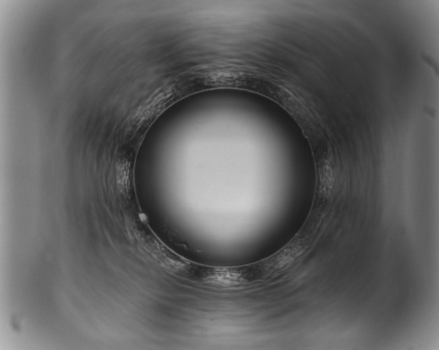 X0000101120278200806261443