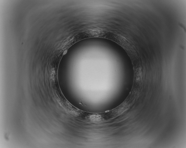 X0000101120279200806261443