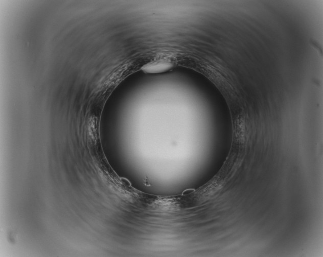 X0000101120280200806261443