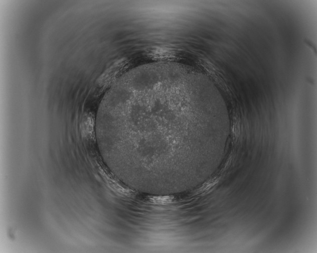 X0000101120281200806261443