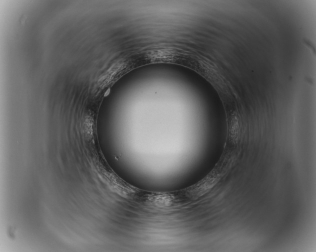 X0000101120282200806261443