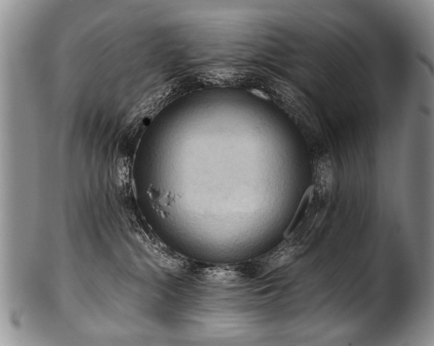 X0000101120284200806261443