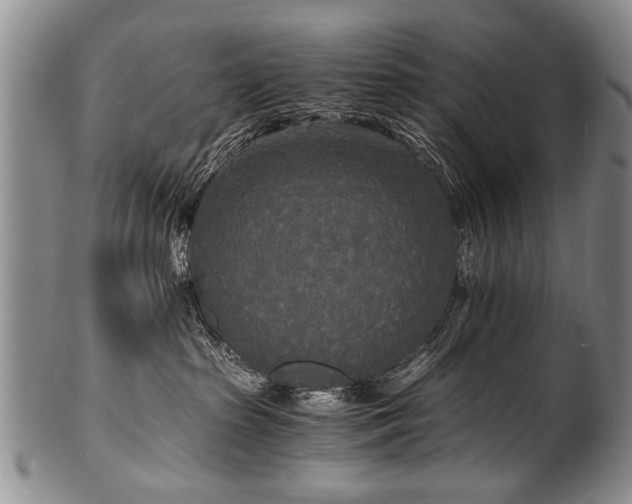 X0000101120285200806261443