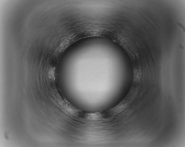 X0000101120286200806261443