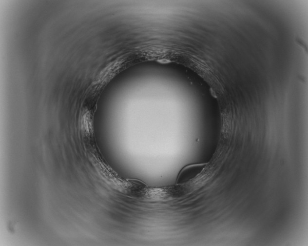 X0000101120287200806261443