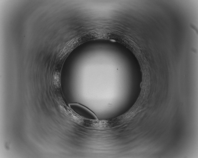 X0000101120288200806261443