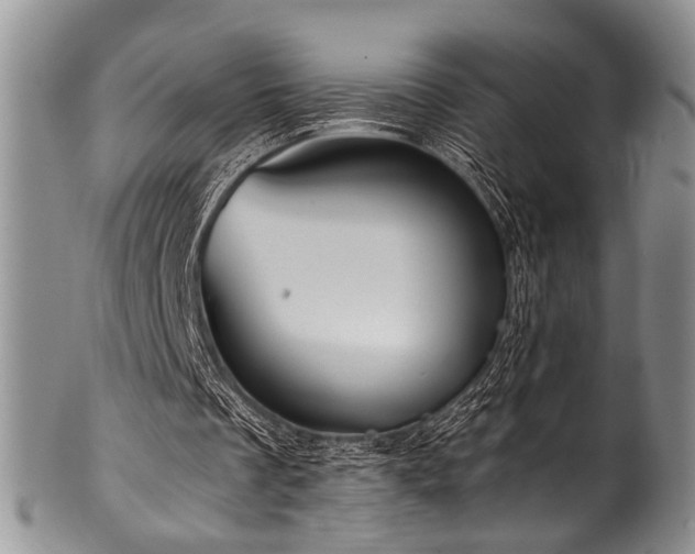 X0000101120289200806261443