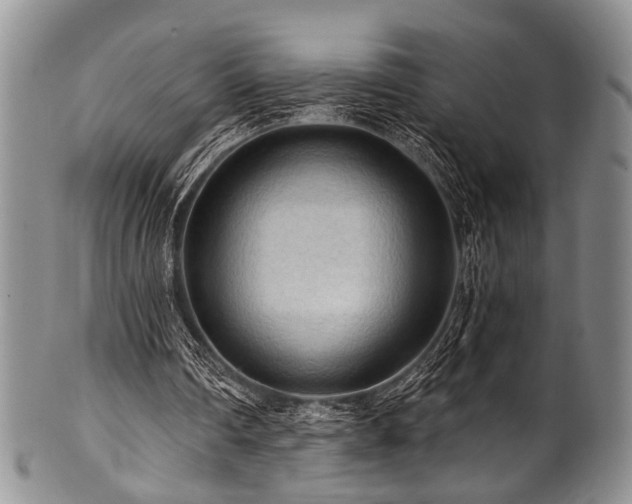 X0000101120290200806261443