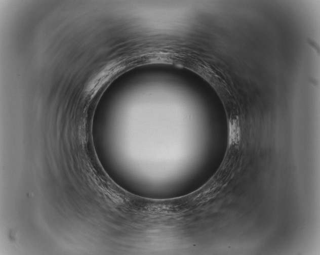 X0000101120291200806261443