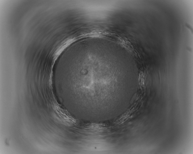 X0000101120292200806261443