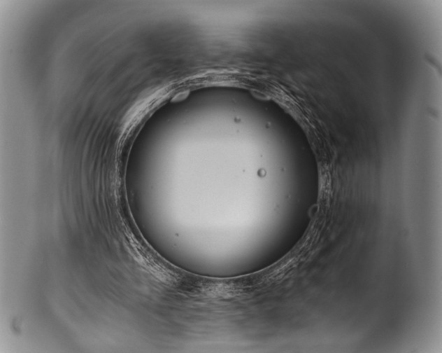 X0000101120293200806261443