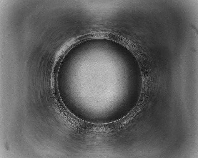 X0000101120294200806261443