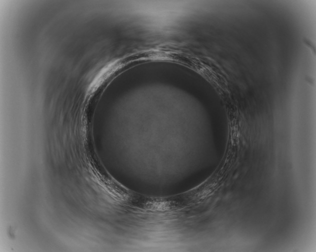 X0000101120295200806261443