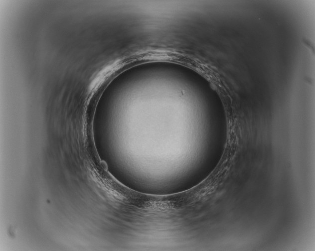 X0000101120296200806261443