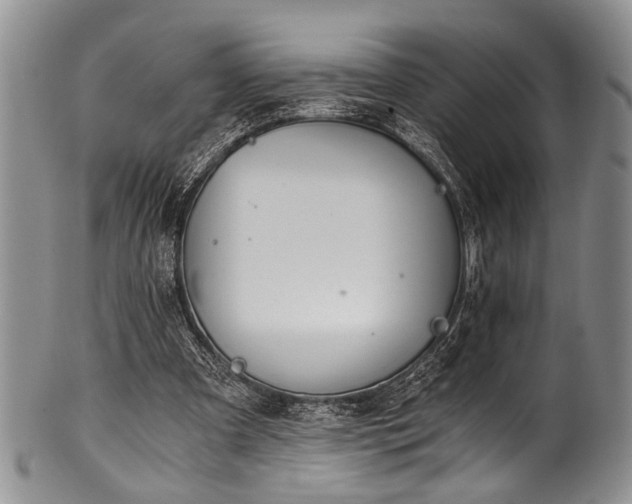 X0000101120297200806261443