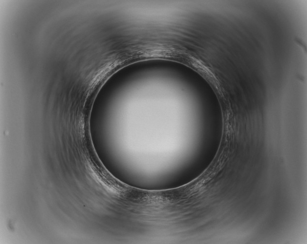 X0000101120298200806261443