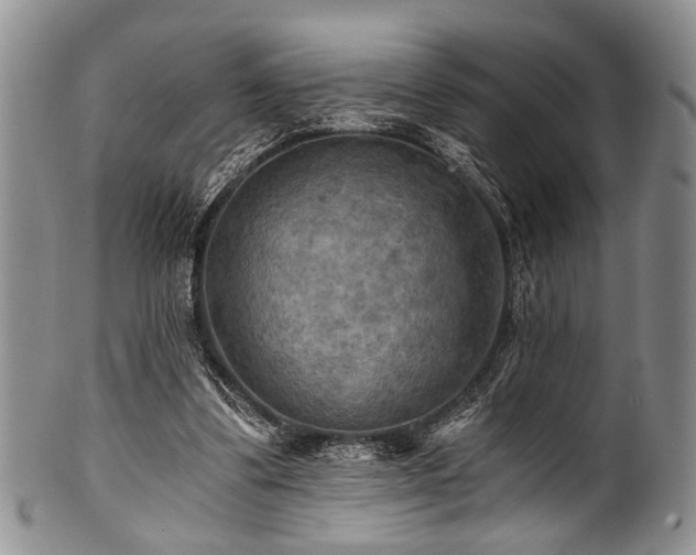 X0000101120299200806261443