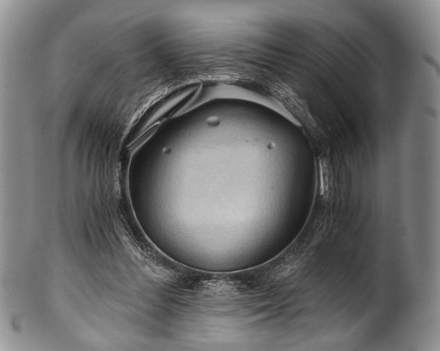 X0000101120300200806261443