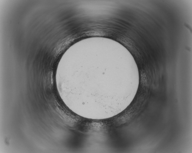 X0000101120302200806261442