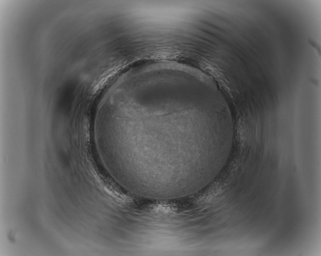 X0000101120303200806261442