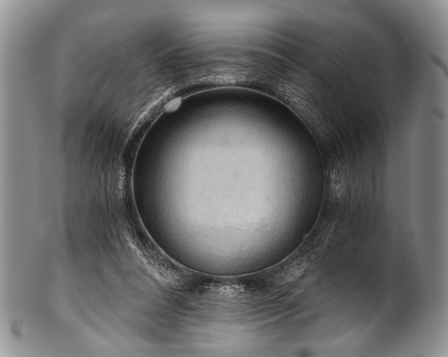X0000101120304200806261442