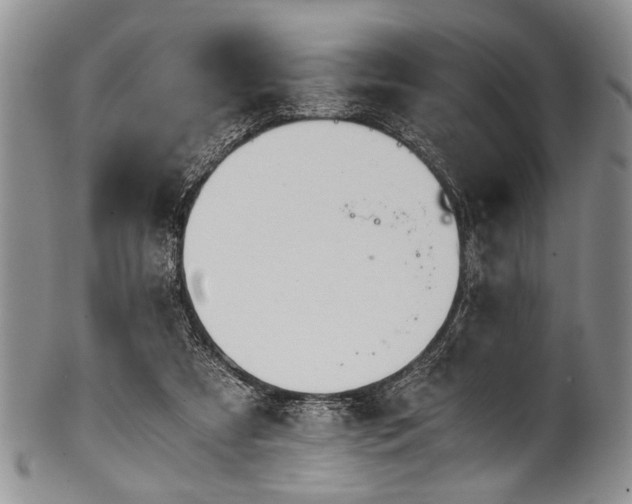 X0000101120305200806261442