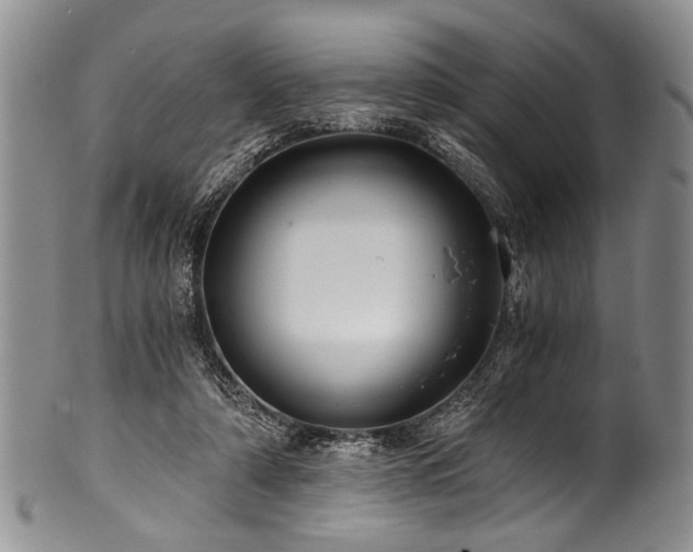 X0000101120306200806261442