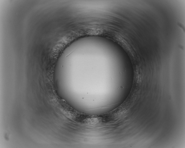 X0000101120307200806261442