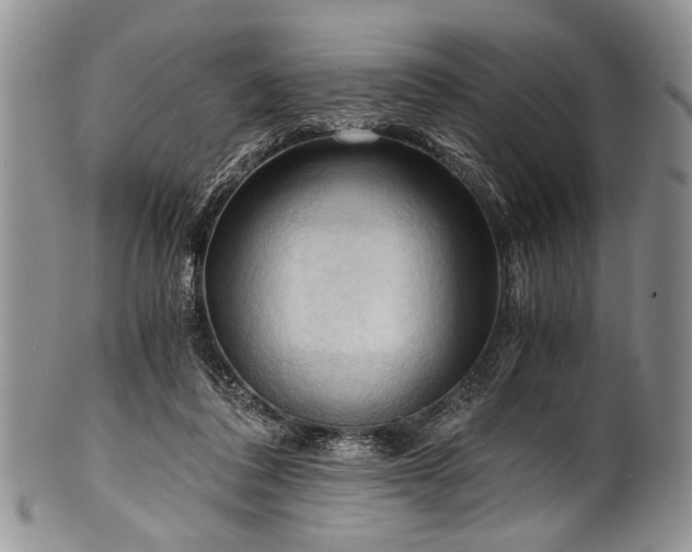 X0000101120308200806261442