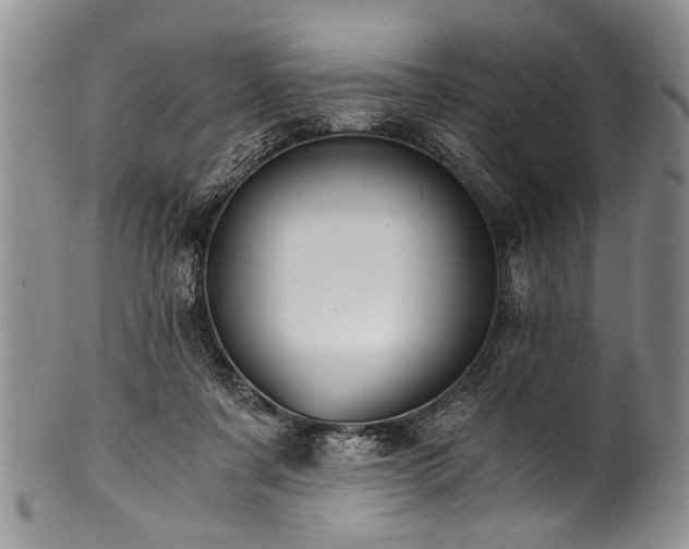 X0000101120311200806261442