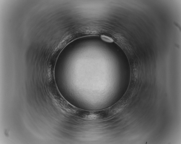X0000101120312200806261442