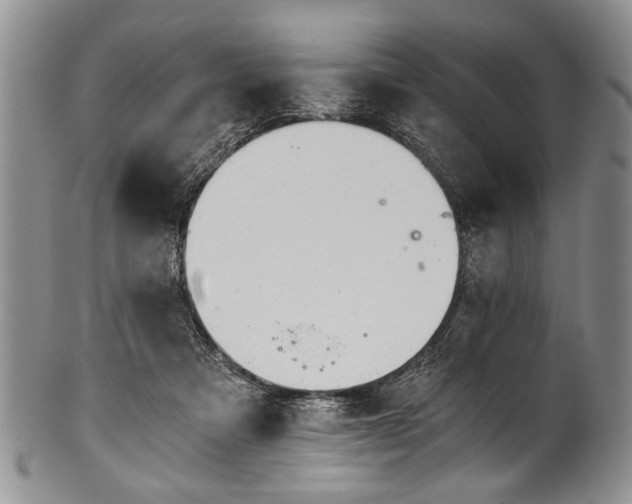 X0000101120313200806261442
