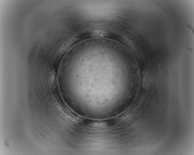 X0000101120314200806261442