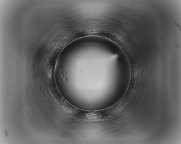 X0000101120315200806261442