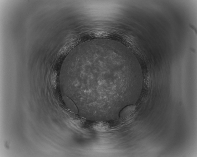 X0000101120319200806261442