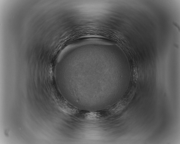 X0000101120320200806261442