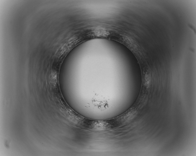 X0000101120321200806261442