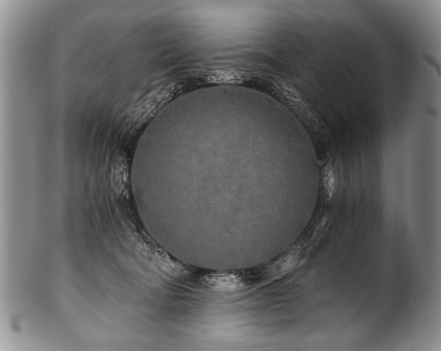 X0000101120322200806261442