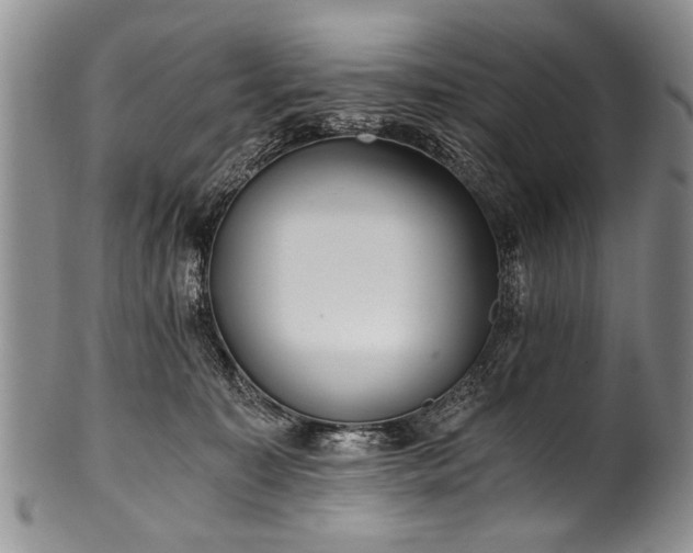 X0000101120323200806261442