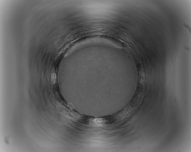 X0000101120324200806261442