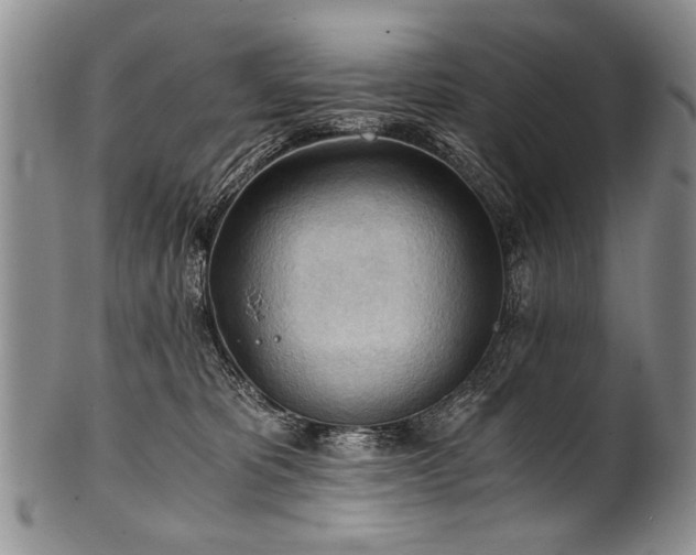 X0000101120325200806261442