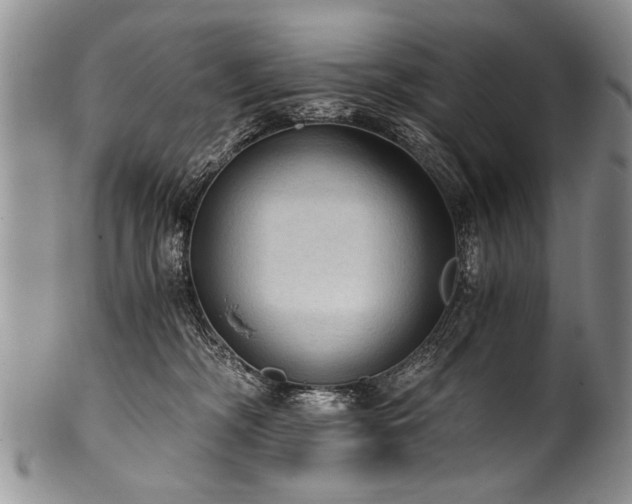 X0000101120326200806261442