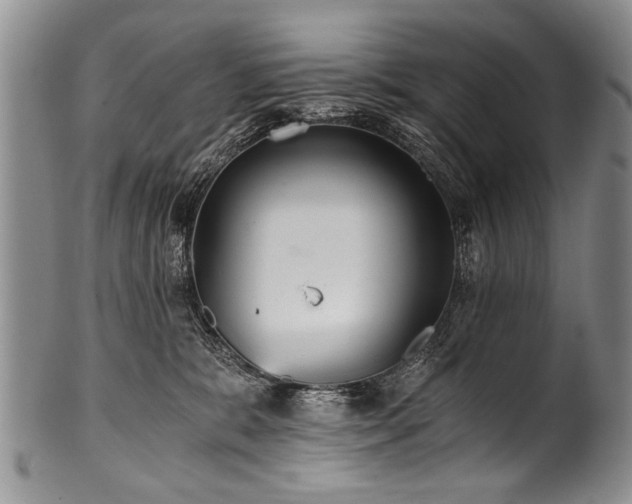 X0000101120327200806261442