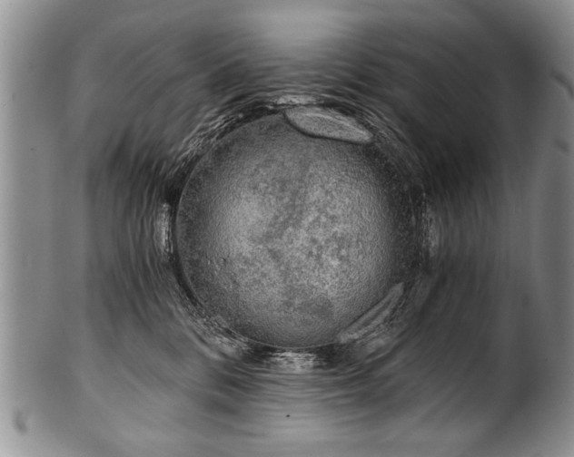 X0000101120328200806261442