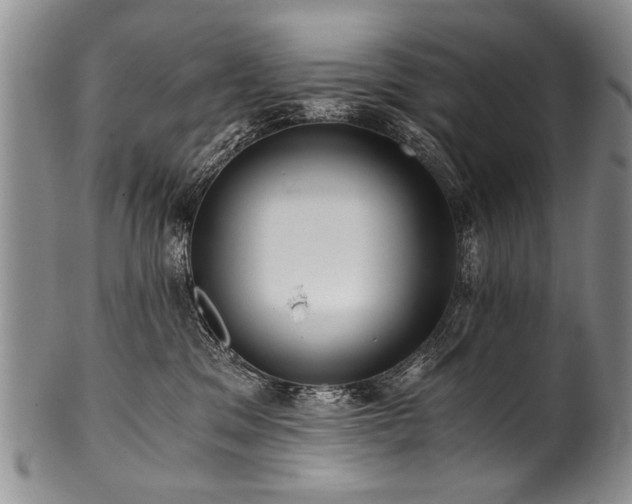 X0000101120329200806261442